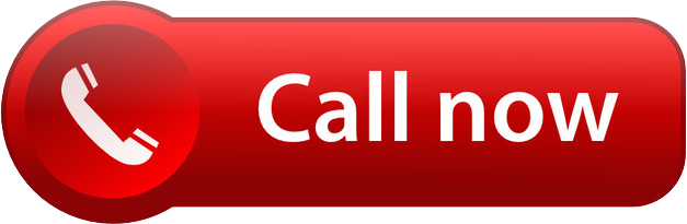 Raminfotech contact number